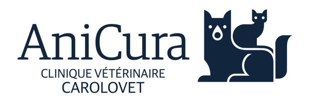 AniCura Dierenkliniek Carolovet in Charleroi logo