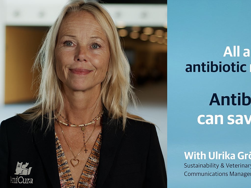 Het probleem van antibioticagebruik bij dieren