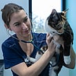 Voor dierenartsen