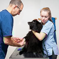 Een persoon en een persoon die een hond vasthoudt.