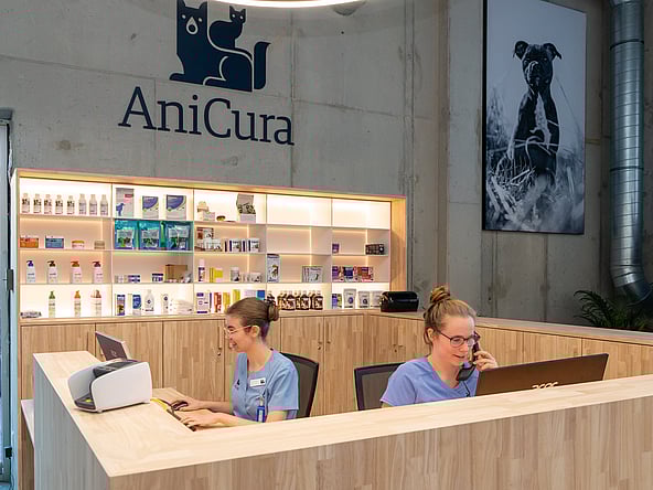 Een paar vrouwen die aan een bureau zitten.