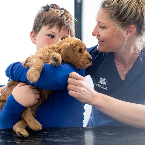 Een persoon die een hond vasthoudt.