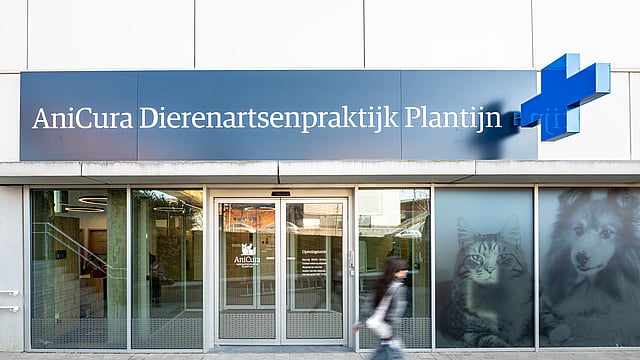Een persoon die langs een winkelpui loopt.
