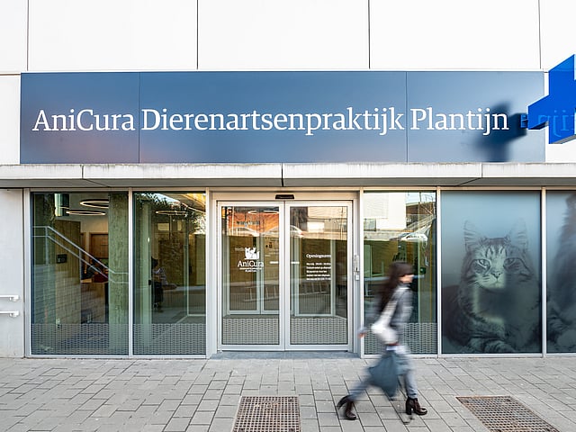 Een persoon die langs een winkelpui loopt.