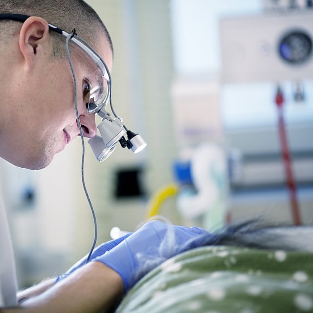 Een persoon die een chirurgisch masker en handschoenen draagt.