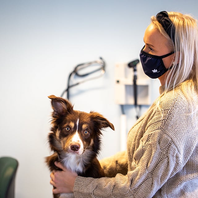 Hond en zijn baasje met een mondmasker