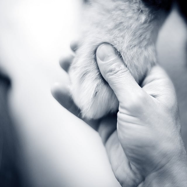 Pootje in hand