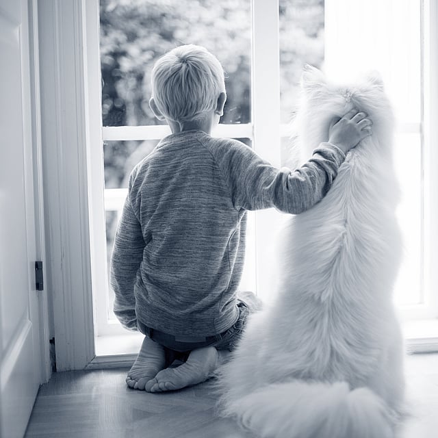 Jongen zit met hond aan het raam
