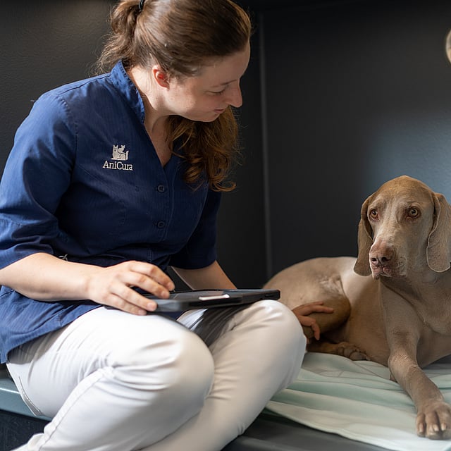 Een persoon die op een bed zit met een hond.