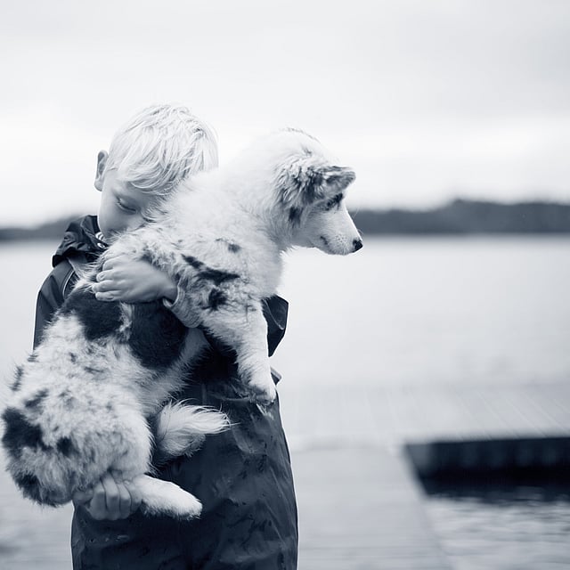 Een kind dat een hond vasthoudt.