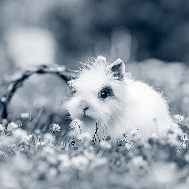 Een konijn in gras met bloemen.