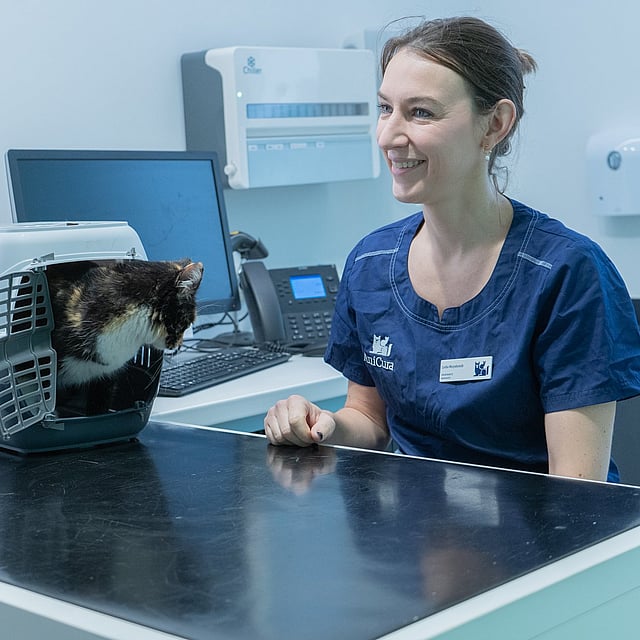 Een persoon die aan een tafel zit met een kat in een kooi.