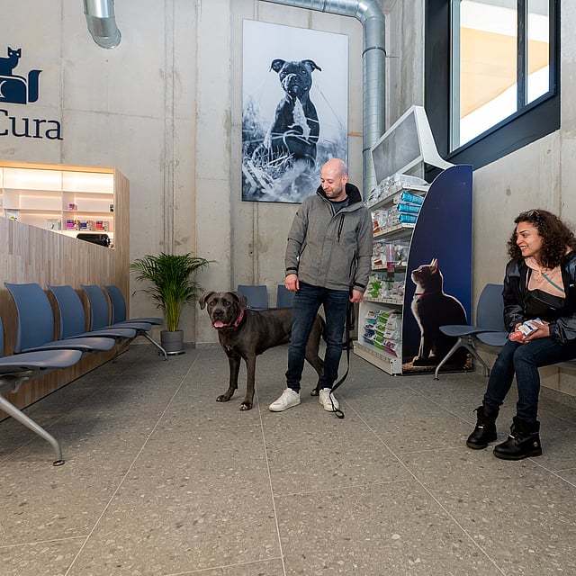 Een persoon en persoon die zich in een wachtkamer met een hond bevinden.