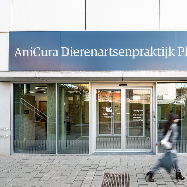 Een persoon die langs een winkelpui loopt.