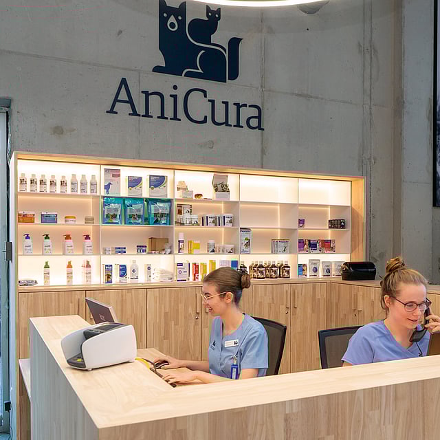 Een paar vrouwen die aan een bureau zitten.