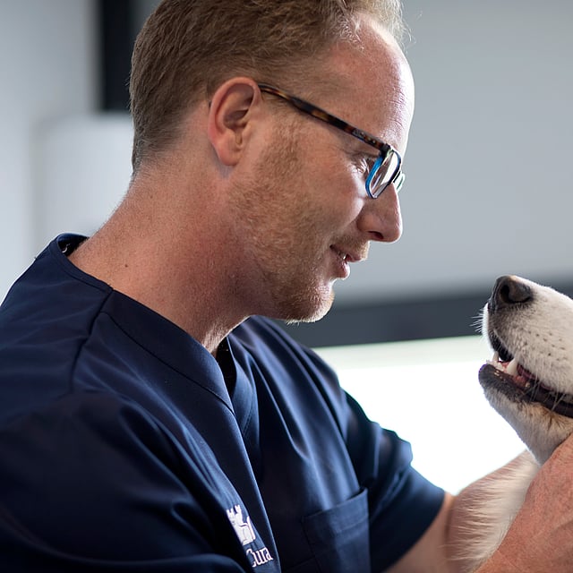 Een persoon die een hond vasthoudt.
