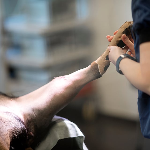 De hand van een persoon die op de arm van een persoon wordt aangebracht.