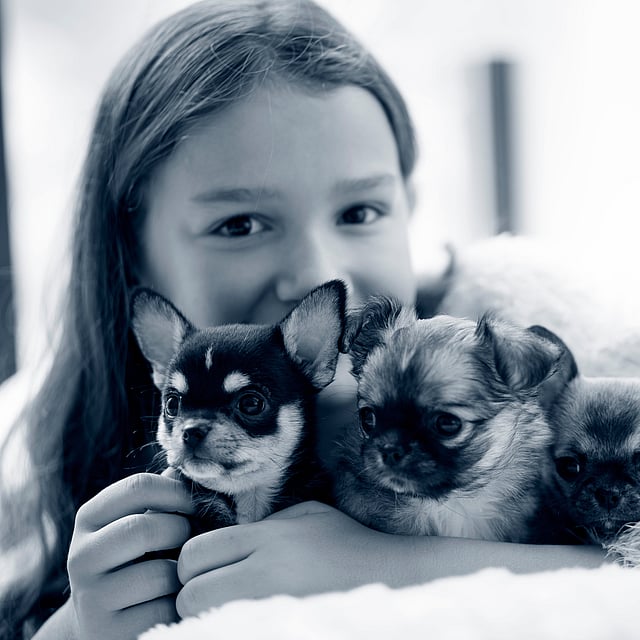 Een kind dat een groep puppy's vasthoudt.