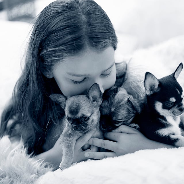 Een kind dat een paar puppy's vasthoudt.