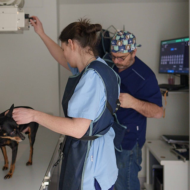Een persoon en een hond in een kamer met een persoon en een computer.