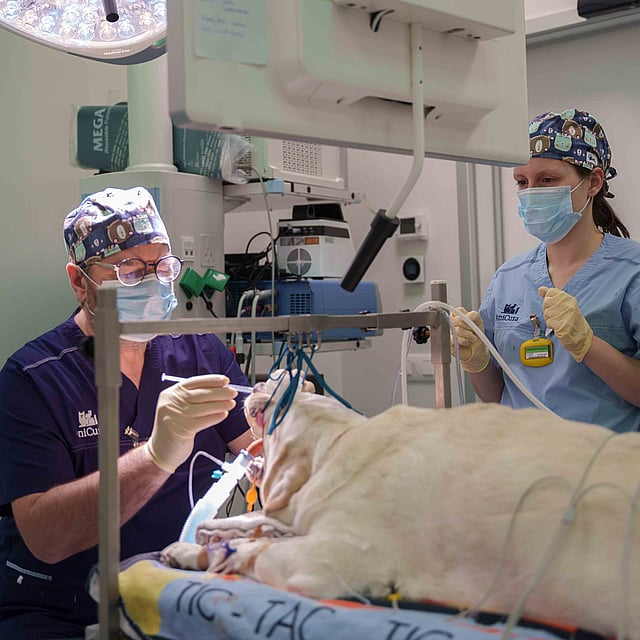 Een groep mensen in scrubs en scrubs die een operatie uitvoeren.