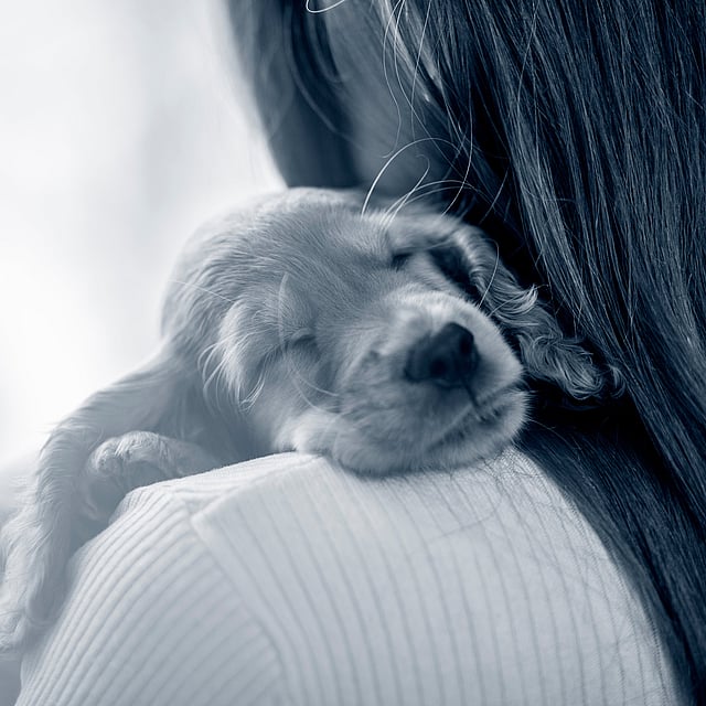Puppy slaapt op de schouder een meisje