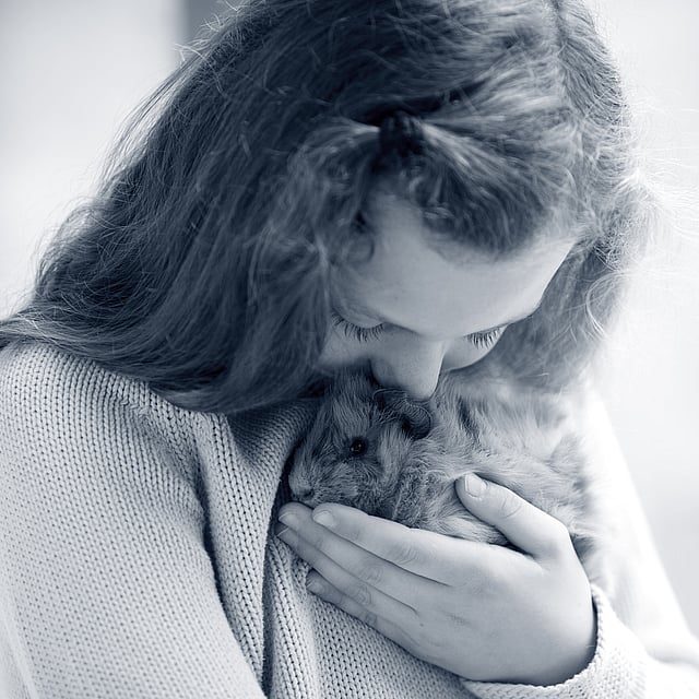 Meisje geeft cavia in haar hand een kus