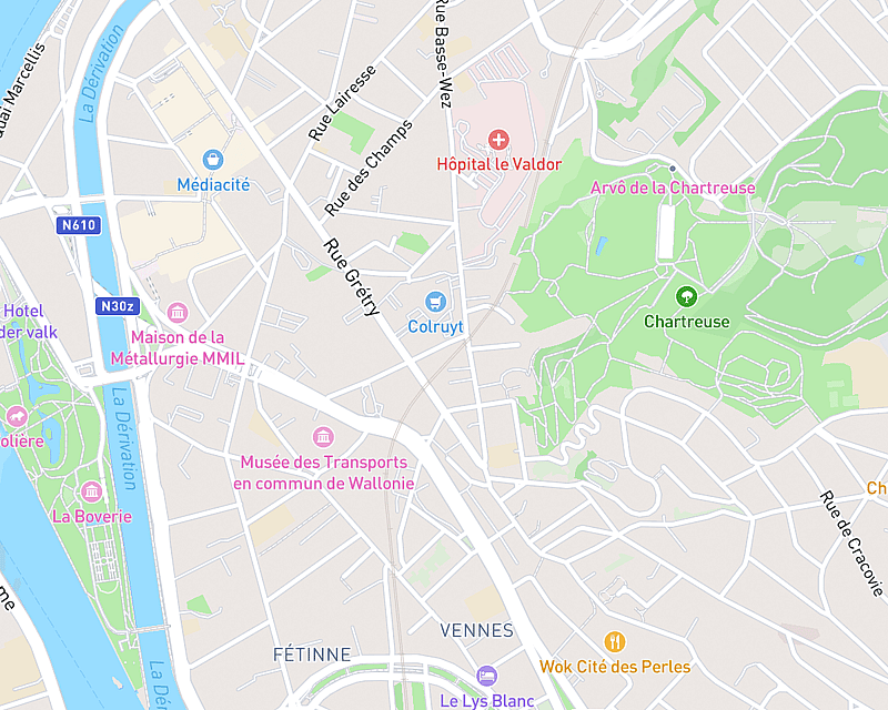 Une carte affichant l'emplacement de AniCura Clinique Vétérinaire VetTeam à Liège
