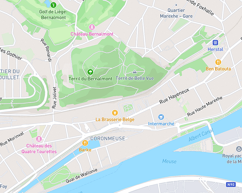 Une carte affichant l'emplacement de AniCura Clinique Vétérinaire VetTeam à Herstal