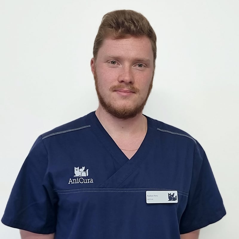 Photo de Perry Raxhon, Vétérinaire