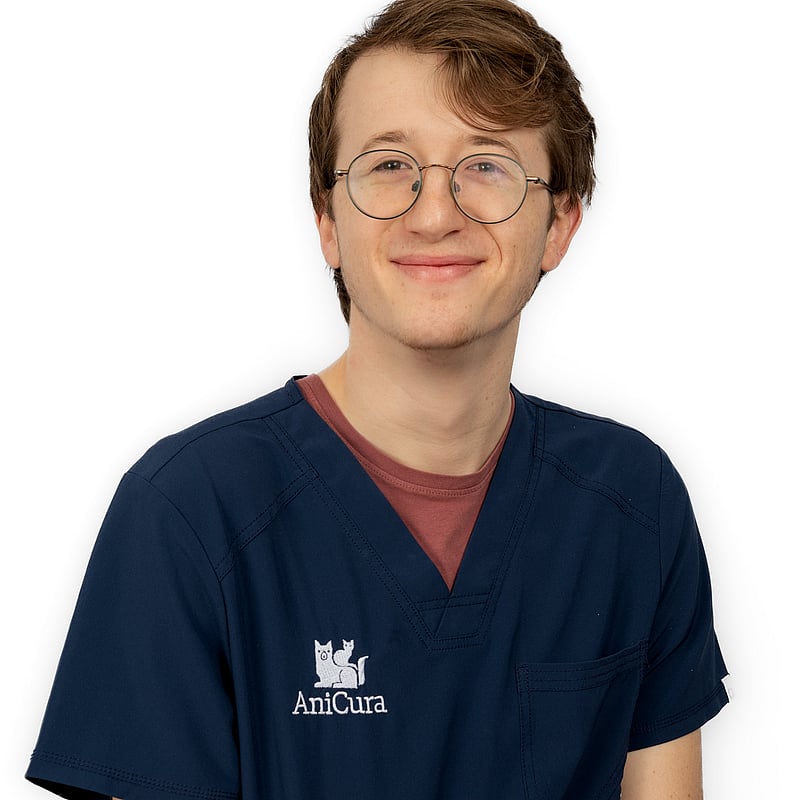 Foto van Thibau Biesemans, Dierenarts