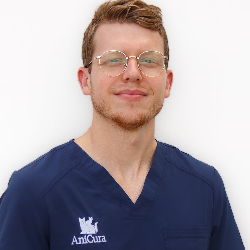 Foto van Wout Baeckelandt, Dierenarts