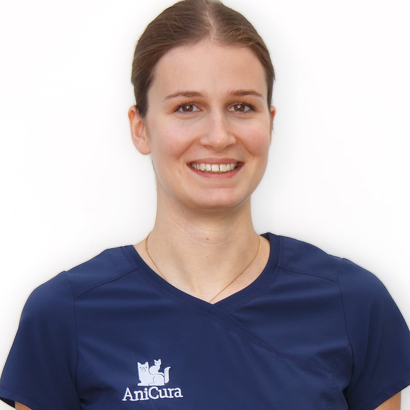 Photo de Kato Stepman, Vétérinaire