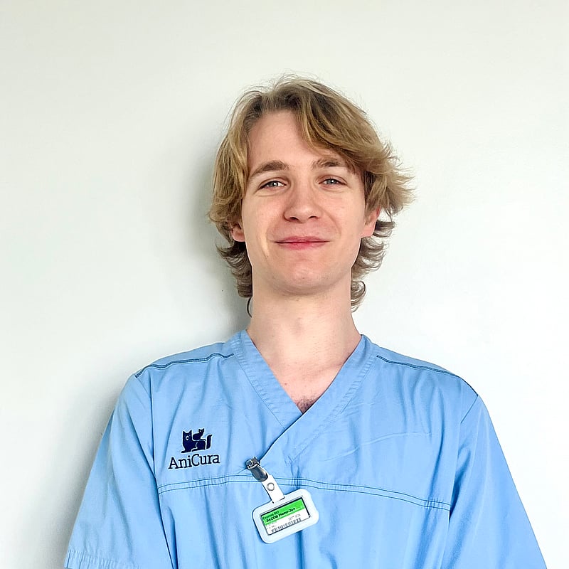 Foto van Pieterjan Jacob, Dierenartsassistente