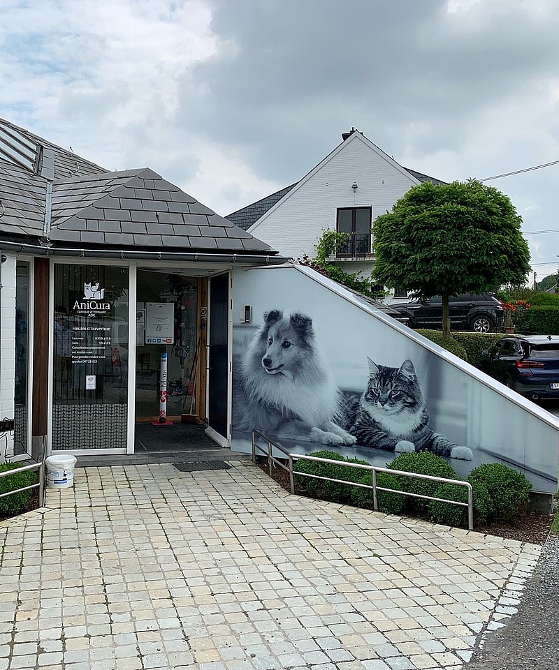 Un bâtiment avec une peinture de chats sur le côté.