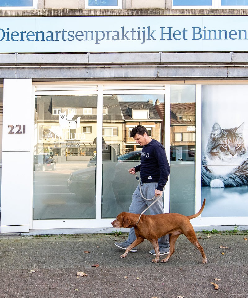 Een persoon die een hond uitlaat voor een gebouw.