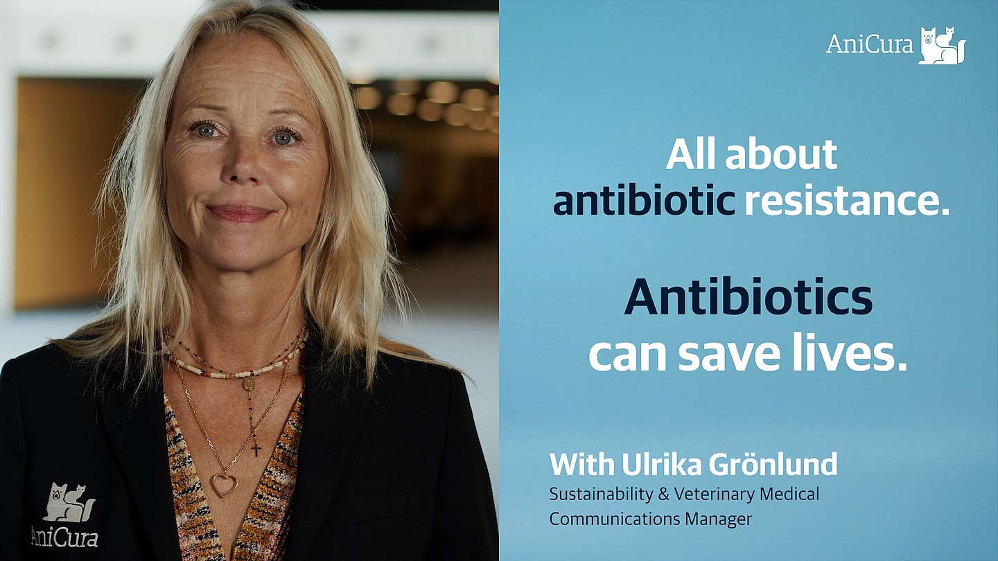 Het probleem van antibioticagebruik bij dieren