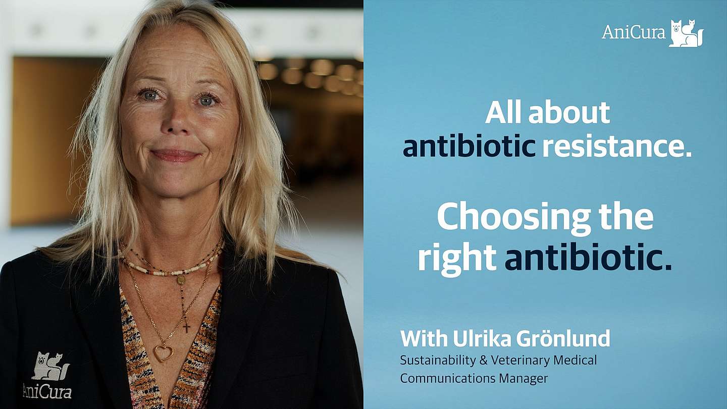 Het kiezen van het juiste antibioticum