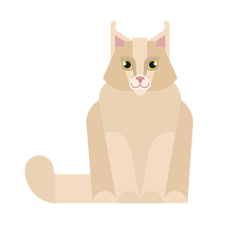 siberische-kat