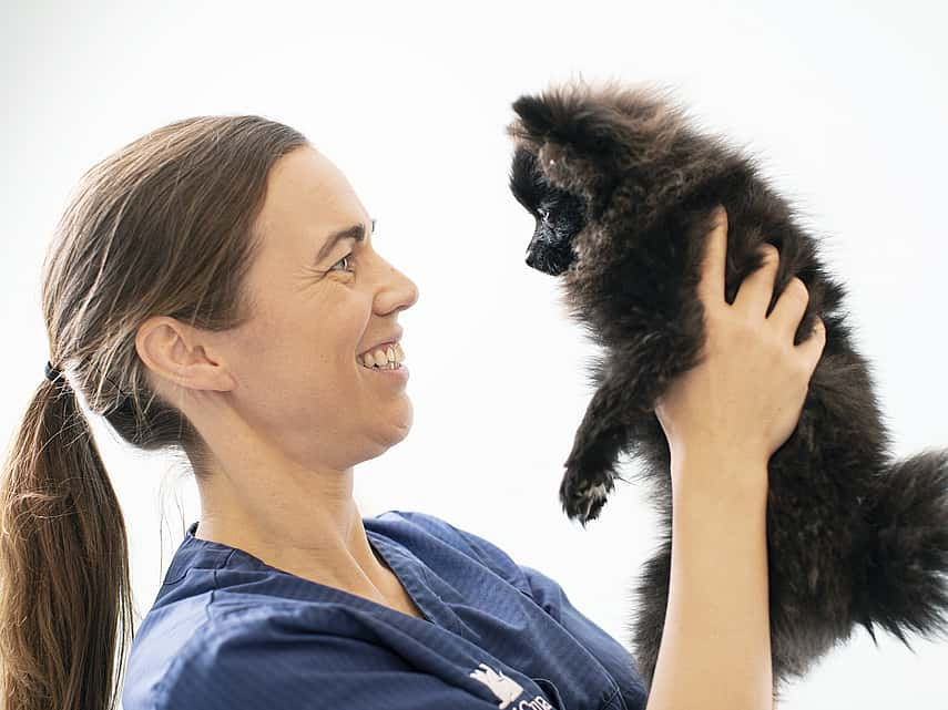 Dierenarts houdt puppy in de lucht