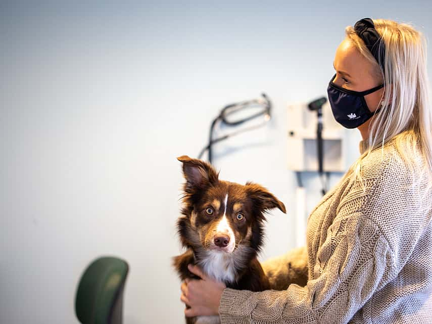 Hond en baasje met een mondmasker