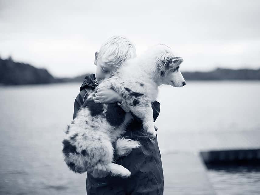 Jongen draagt hond in zijn armen