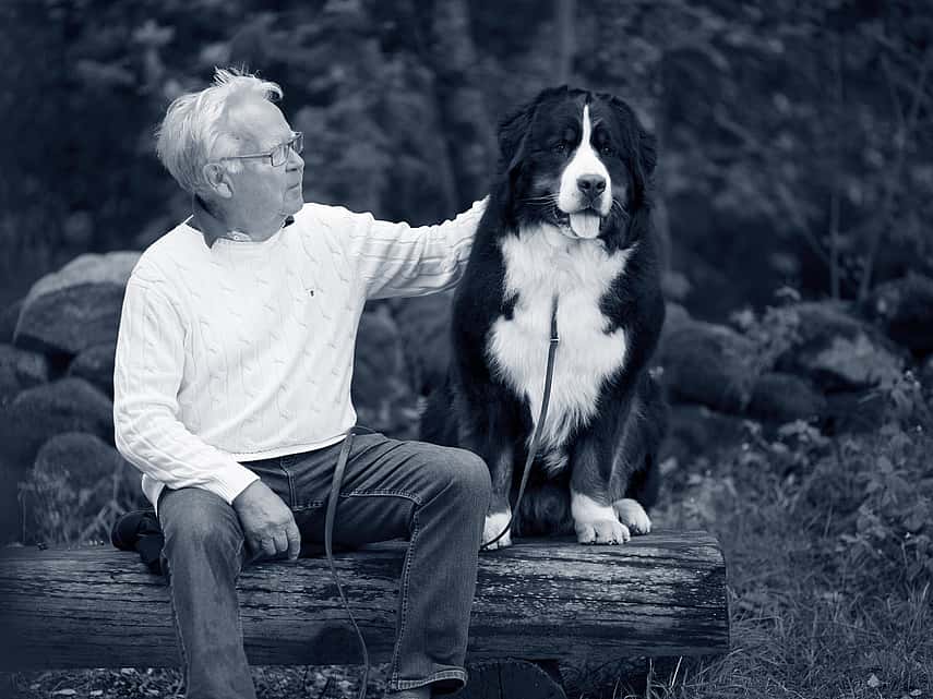 Oude man en hond zitten samen op een bank