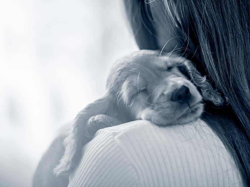 Puppy slaapt op de schouder een meisje