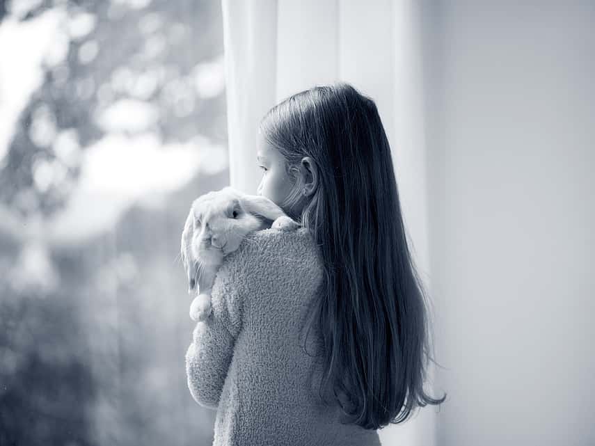 Meisje staat voor het raam met konijn in haar armen