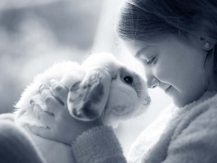 Meisje en konijn neus tegen neus