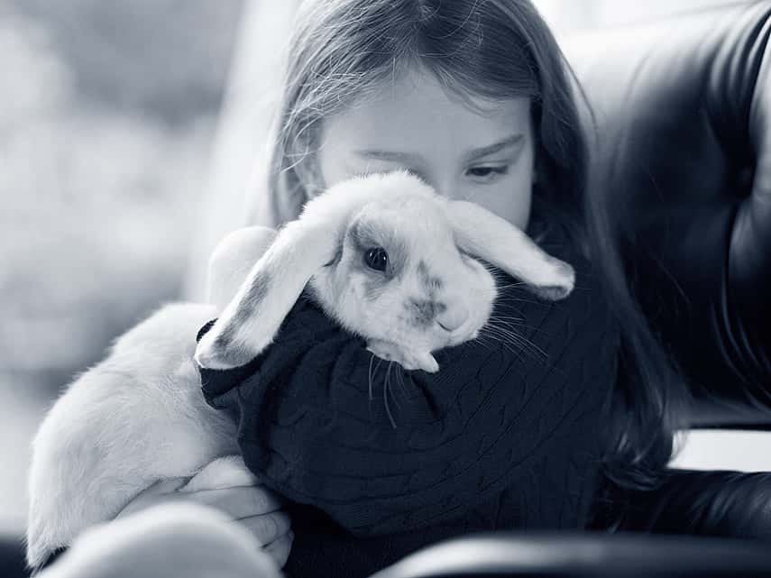 Meisje knuffelt grote konijn