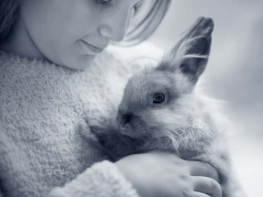 Meisje kijkt naar konijn in haar armen