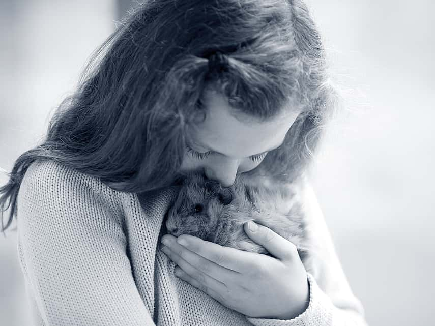 Meisje geeft cavia in haar hand een kus