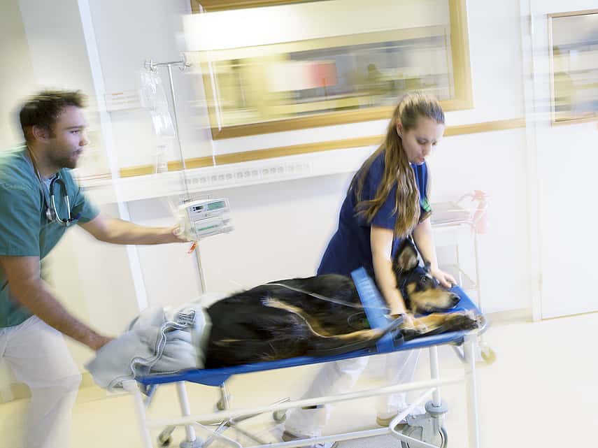 Clinique d'urgence